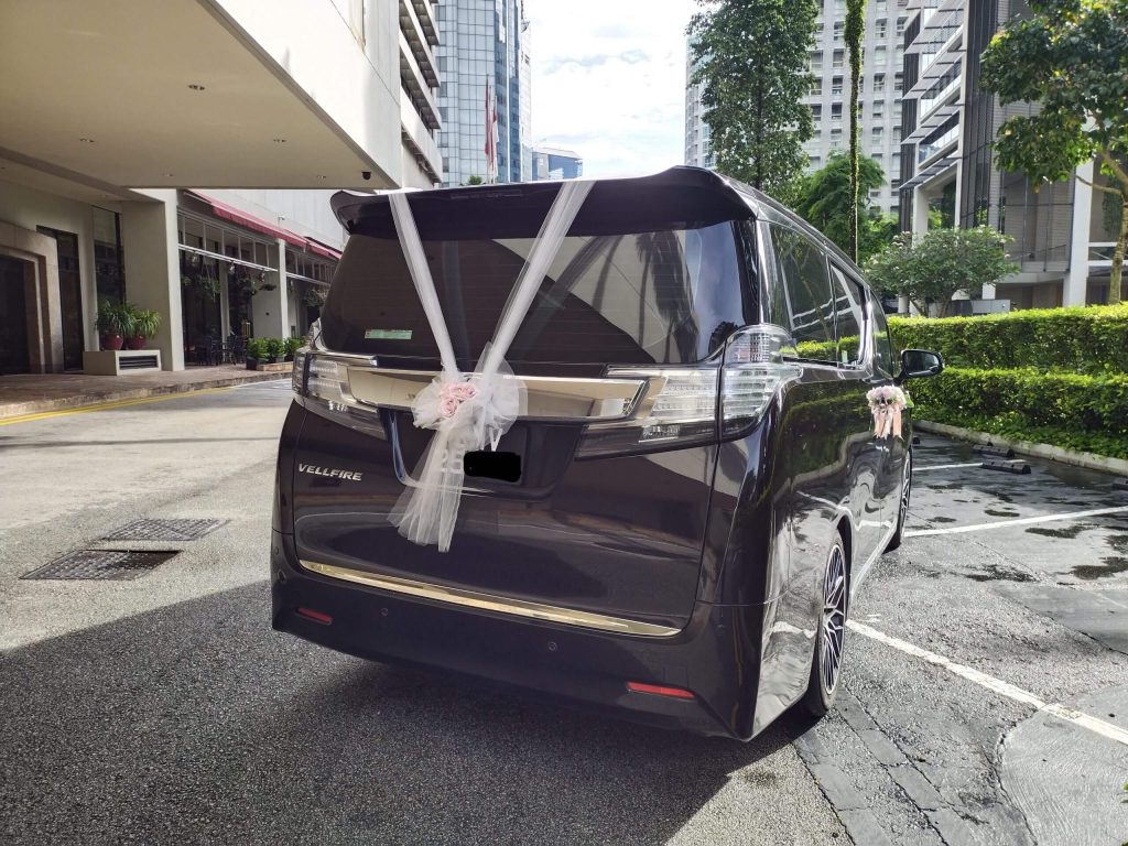 IMG_20221203_090714-1-scaled